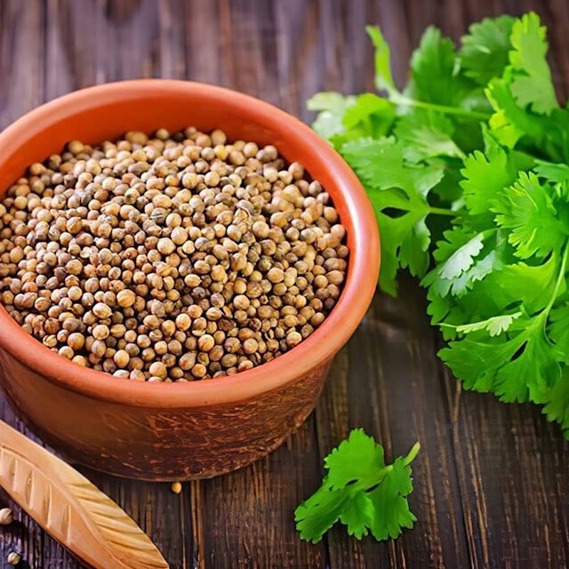 Top 7 Coriander Seeds Spices Exporters in India