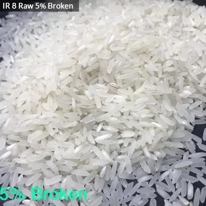 IR8 Raw 5% Broken rice traders in India - Trade-Pros
